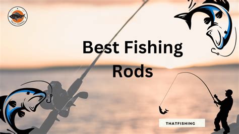 10 Best Fishing Rods of 2024 (Tried & Tested).